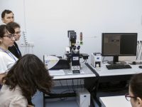 Course and laboratory microscopy (14/25)