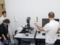 Course and laboratory microscopy (17/25)